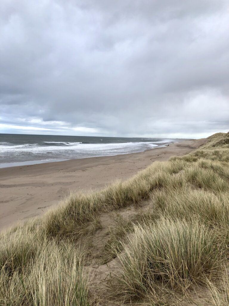 A view of Cheswick beach from the top of the dunes.