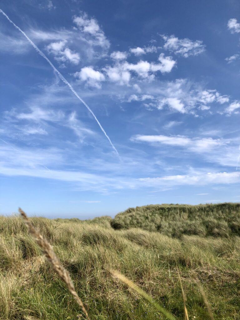 The sand dunes at Cheswick beach.