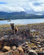 Torridon Collection - Image 8